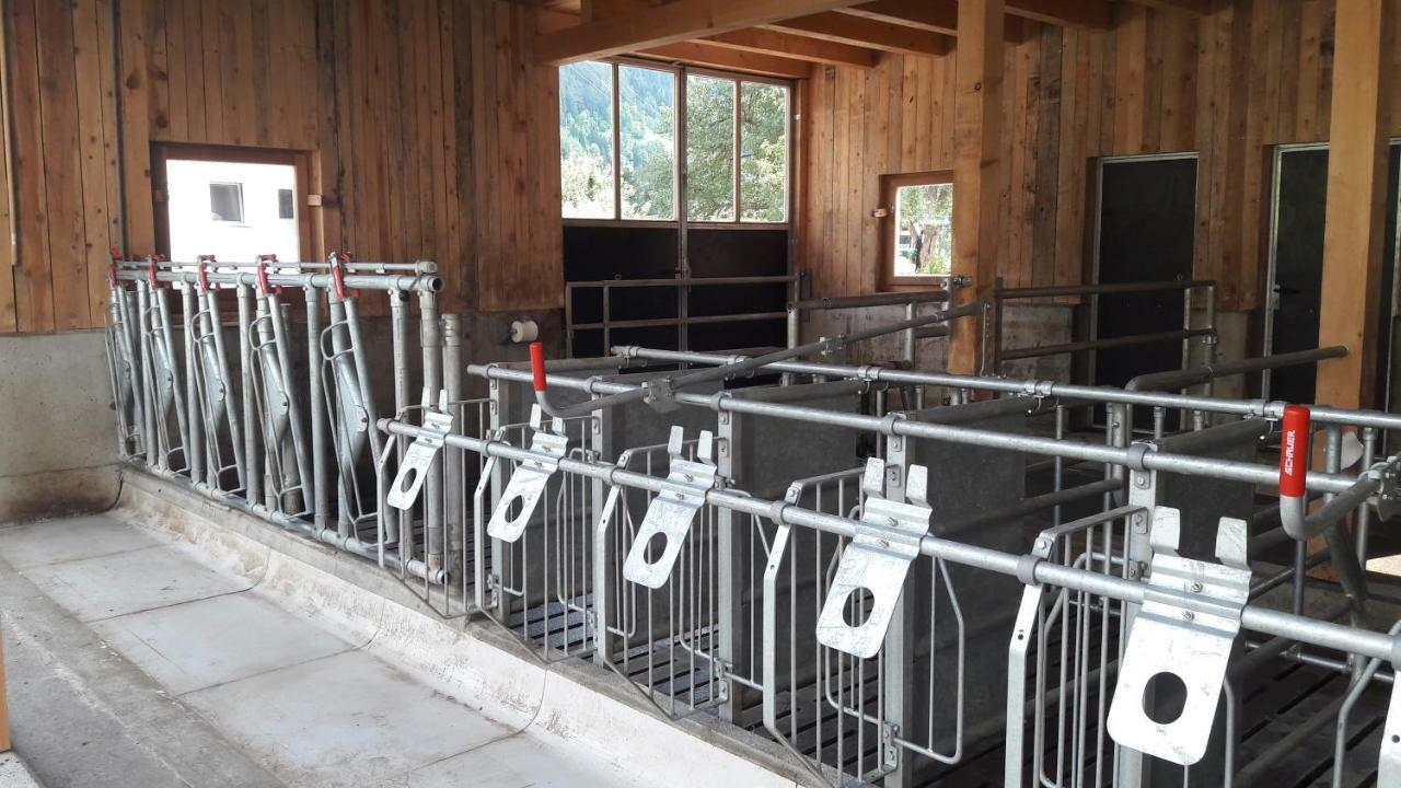 Bauernhof Gfraser 세르파우스 외부 사진